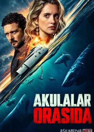 Akulalar orasida (2026) Uzbek tilida