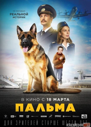 Palma Rossiya (2020) Uzbek tilida